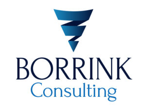 Borrink Consulting Logo