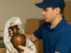 Training Programs for Handling Antiques and Art: Protecting What Matters Most